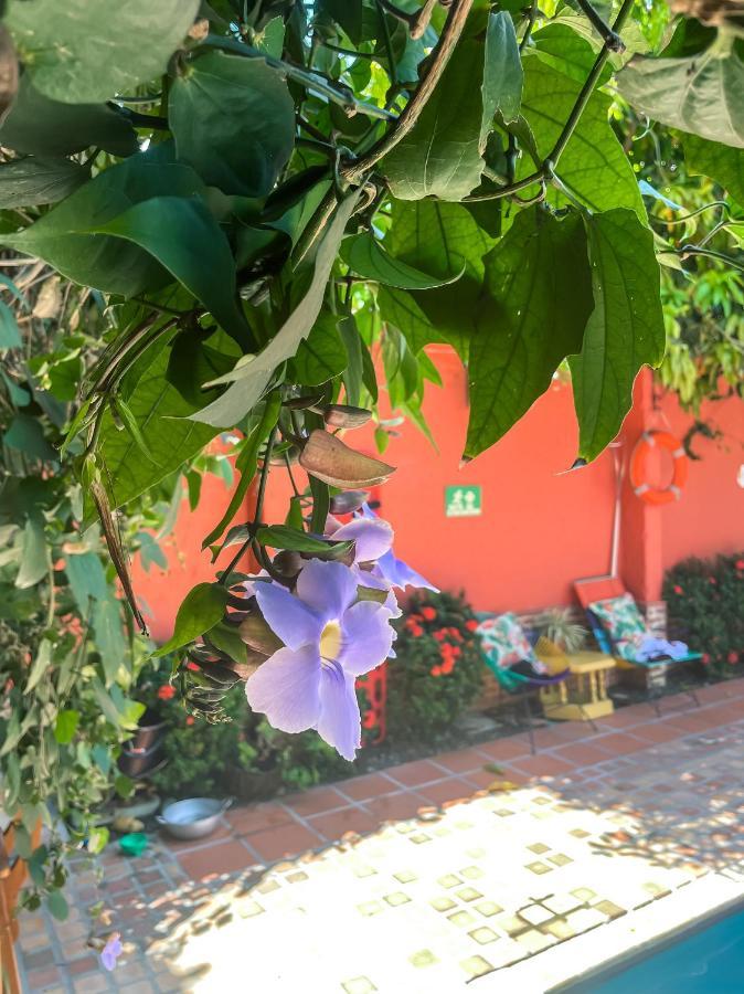 Hotel Casa De Verano - Solo Adultos - Santa Fe de Antioquia Exteriér fotografie