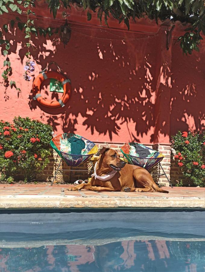 Hotel Casa De Verano - Solo Adultos - Santa Fe de Antioquia Exteriér fotografie